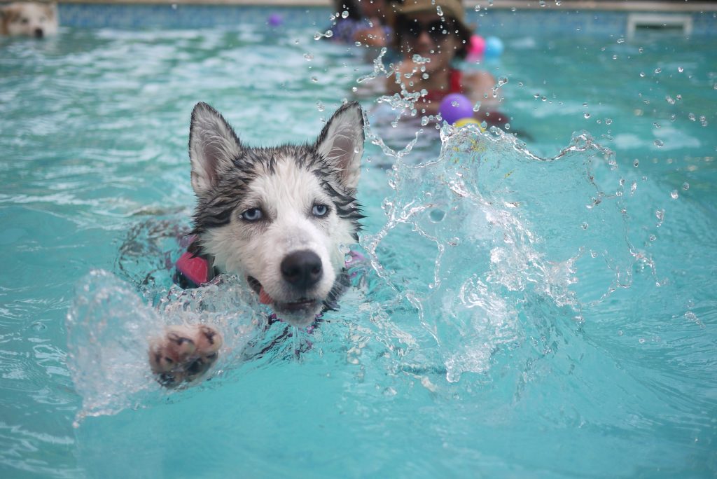 3 Steps to Secure Your Pool